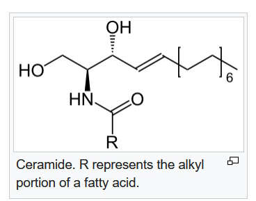 ikaria lean belly juice ceramides