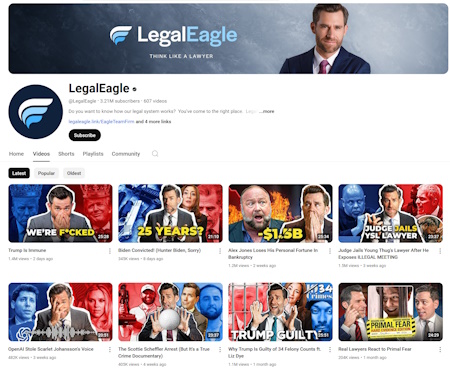 legal eagle 2